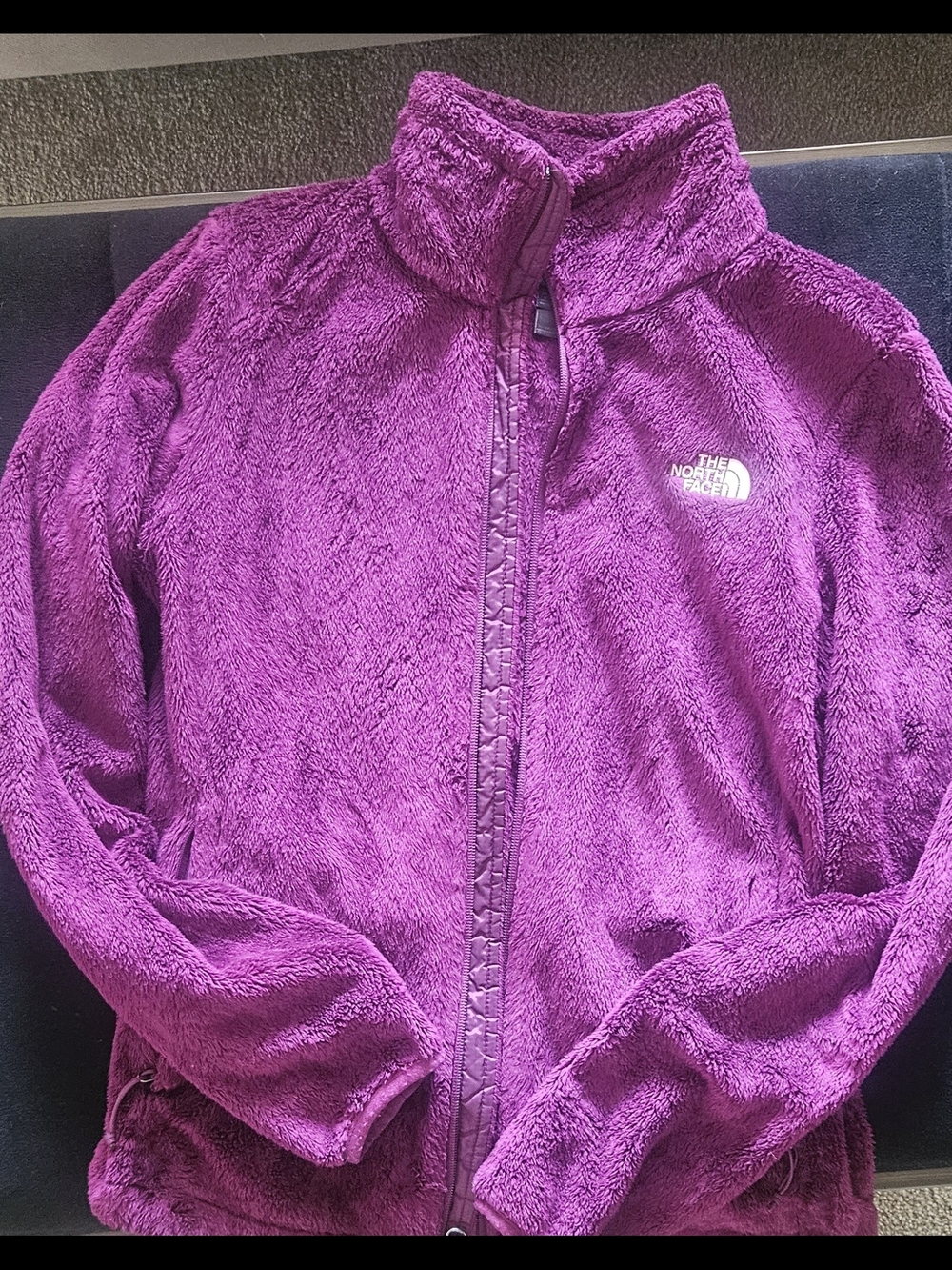 The North Face Magenta Plush Jacket